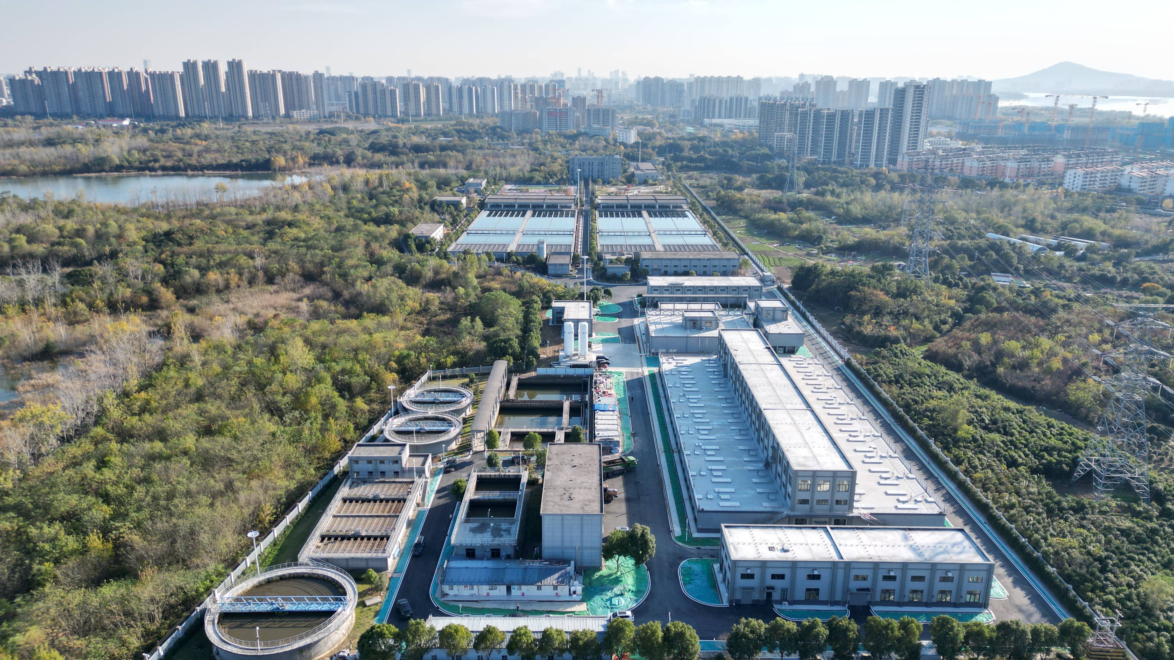 德州市合肥专业企业价值增长(合肥市重点企业产业目录)