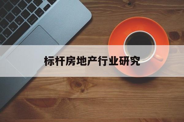 德州市标杆房地产行业研究(房地产领域的标杆人物)