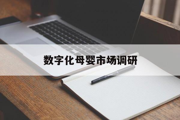 德州市数字化母婴市场调研(数字化母婴市场调研报告)