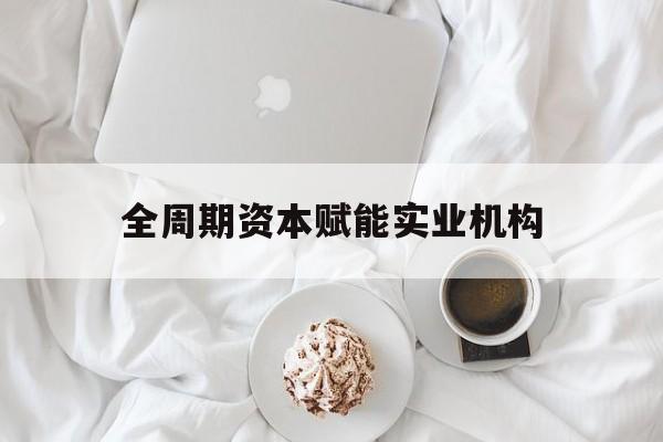 德州市全周期资本赋能实业机构(全周期管理)